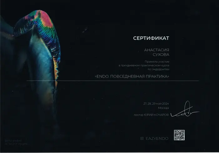 сертификат доктора