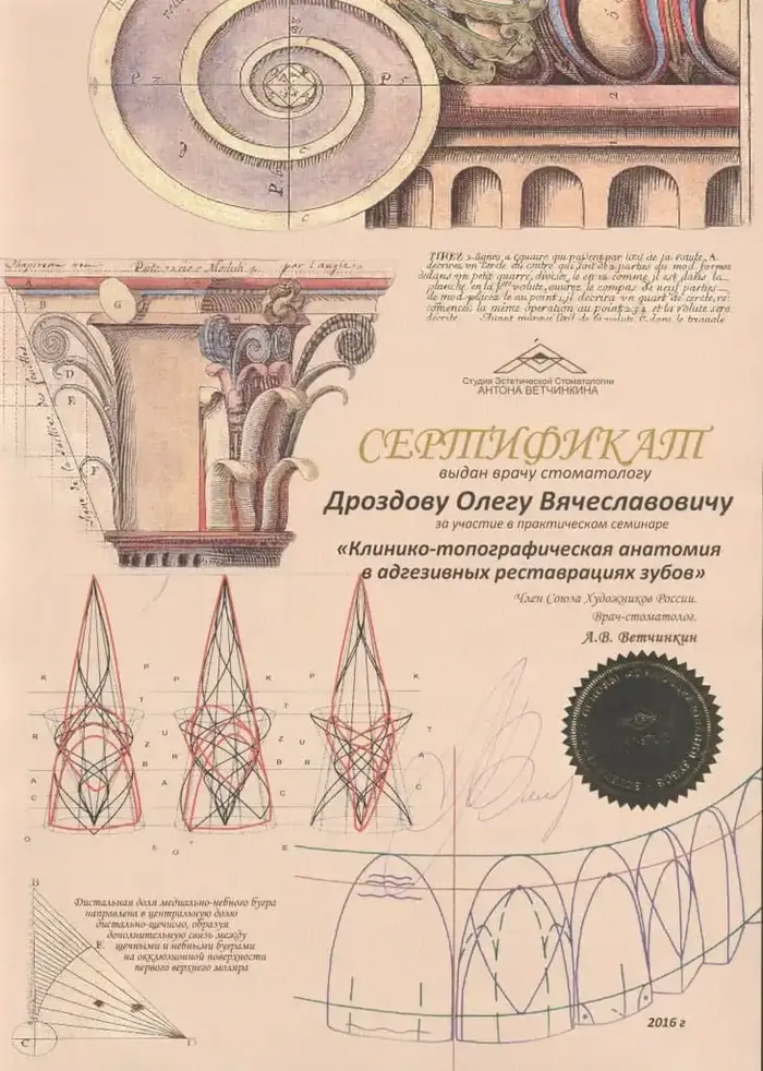 сертификат доктора